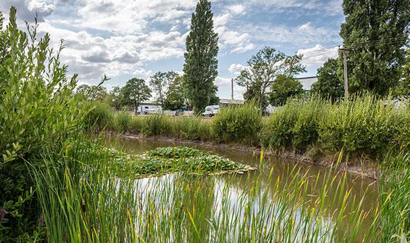 Green land at Westcott